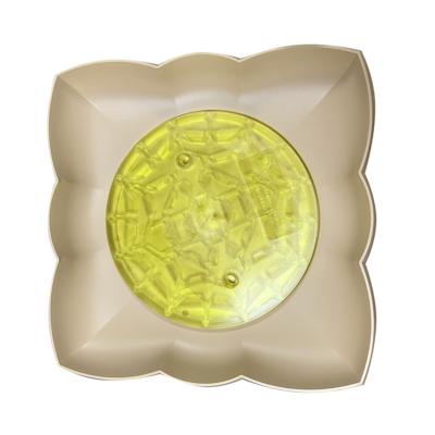 Soucoupe Lotus pour piège Guppytrap